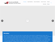 Tablet Screenshot of alicivelek.com